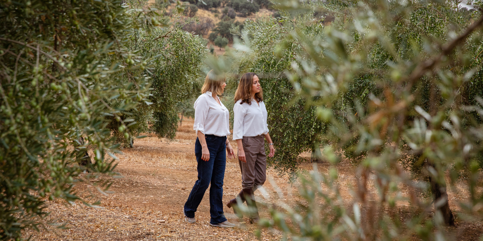 Rooted in Olive Groves & Barrel Rooms: Women in Olive Oil