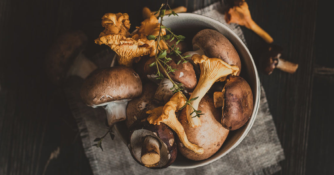Festive Mushroom Recipes for the Big Day