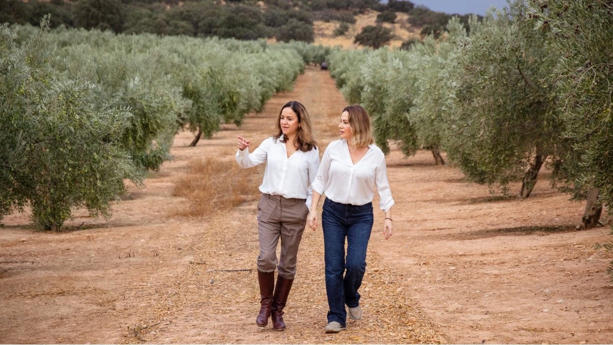 From Grove to Table: The Harvest Journey of EVOO at Seasons