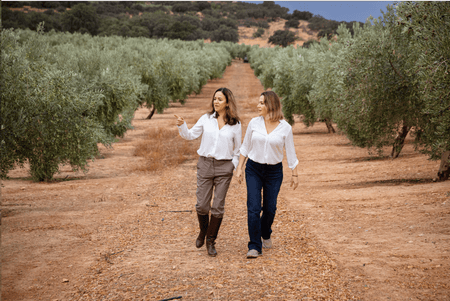 Buy Arbequina Extra Virgin Olive Oil - NEW HARVEST 2025 Online